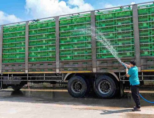 Limpieza y desinfección de vehículos que transportan alimentos: guía práctica