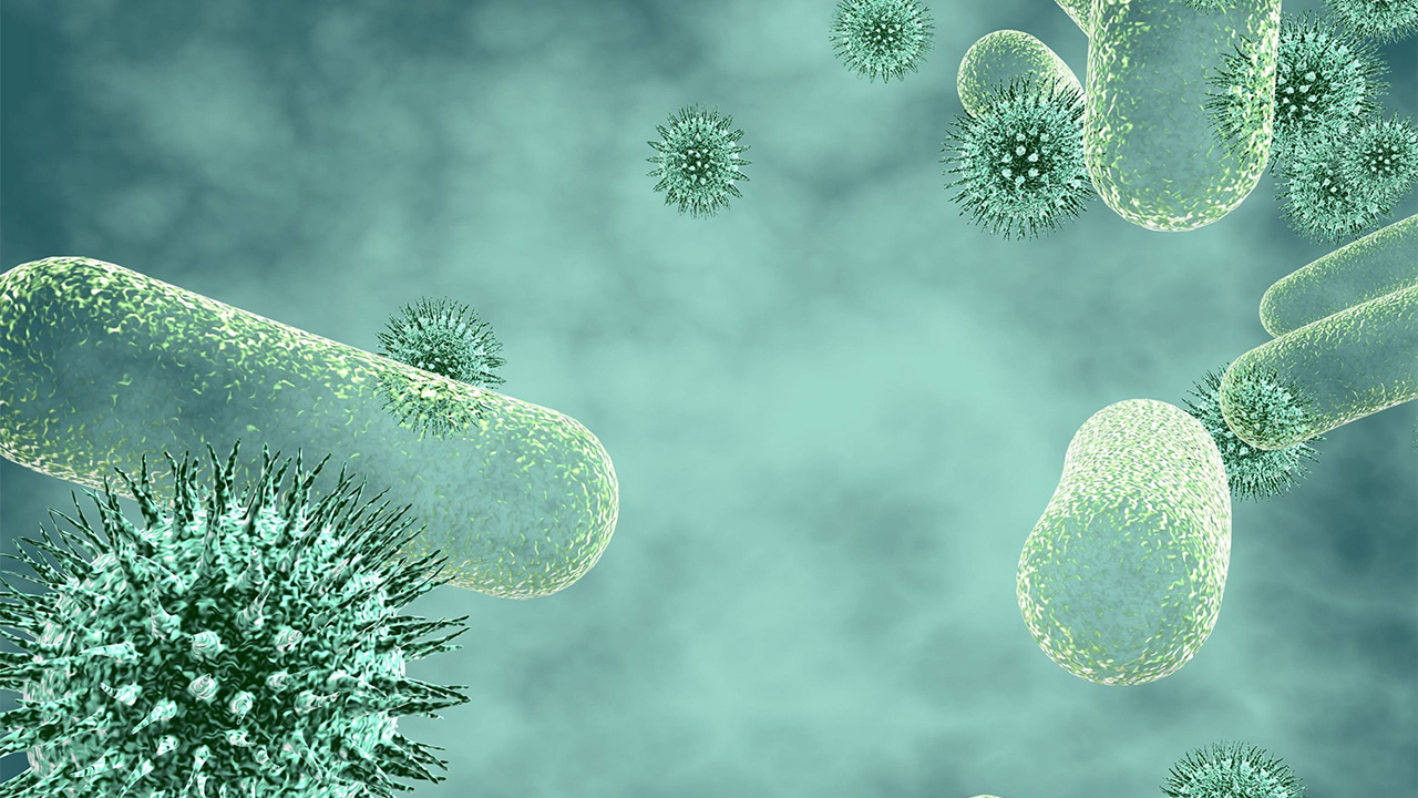 Biofilms Biofilms