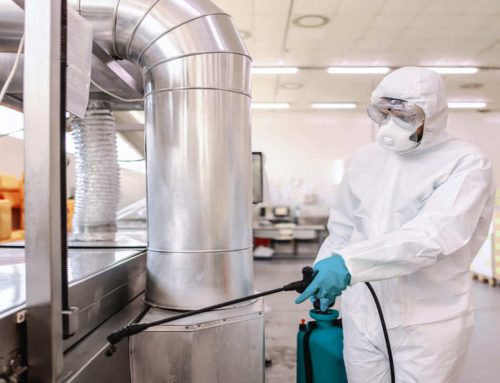 Desinfectantes industriales: cómo actúan y cuál elegir según cada proceso