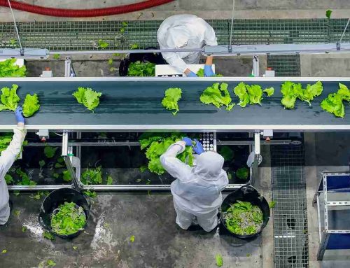Limpieza y desinfección de una planta de alimentos: aspectos clave para evitar riesgos