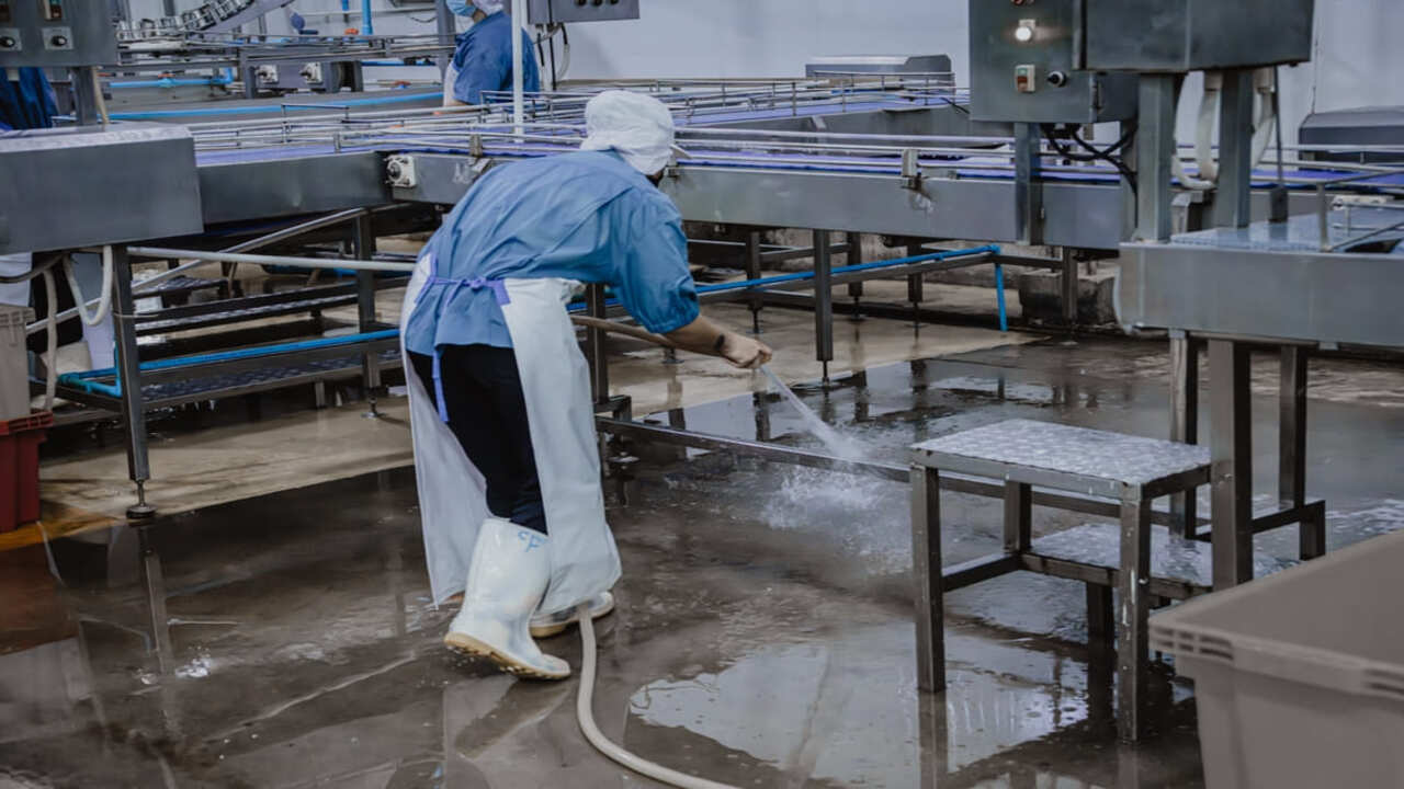 procedimiento de limpieza procedimiento de limpieza