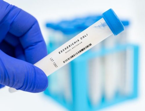 ¿Qué es la bacteria Escherichia coli y cómo prevenir biofilms en procesos industriales?