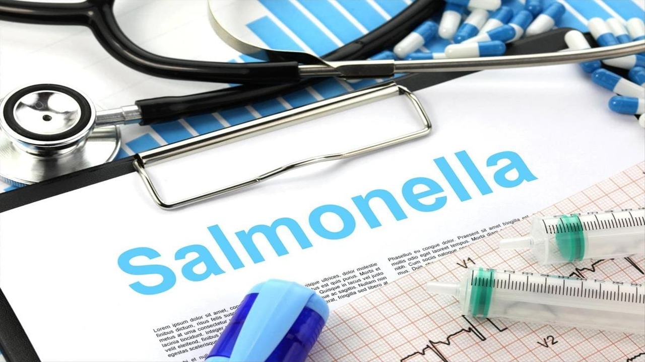 salmonella en alimentos