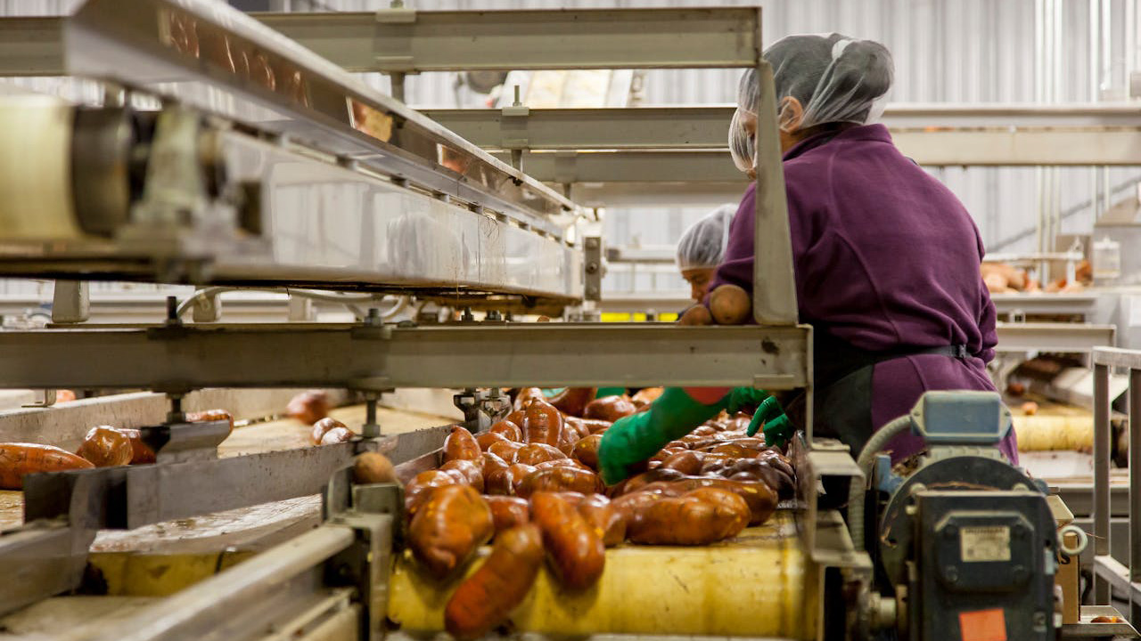 Validación de limpieza en la industria de alimentos Validación de limpieza en la industria de alimentos